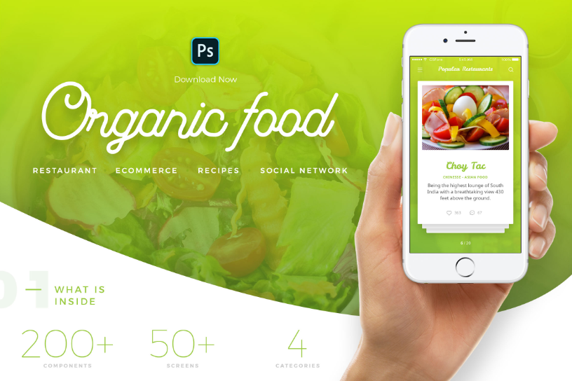 Organic Food UI Kit - Psd