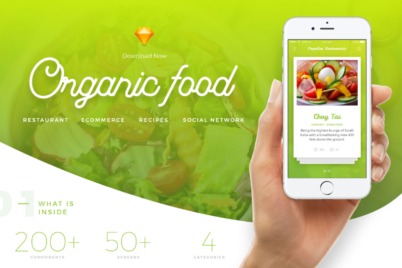 Organic Food UI Kit - Sketch