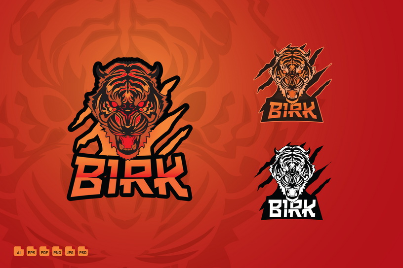 Esports Gaming Team Birk Logotype