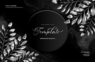 Separated Silver Detail Plant Monstera Deliciosa Black Sky Marble Abstract Background
