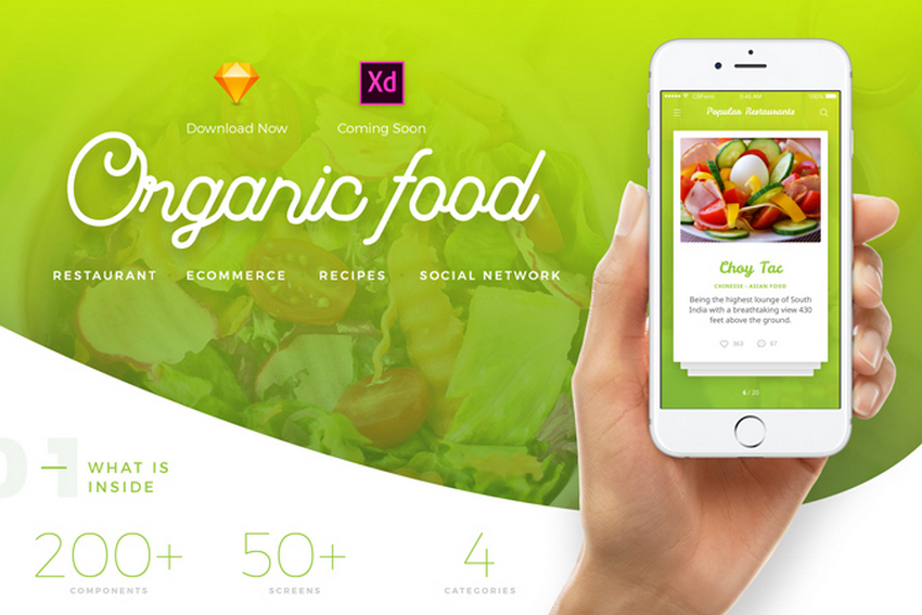 Organic Food UI Kit