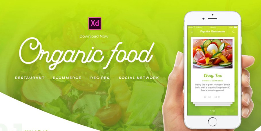 Organic Food UI Kit Adobe XD Freebie