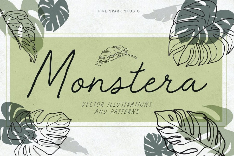 Monstera Leaf Vector Illustrations